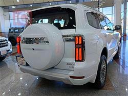 Great Wall 500